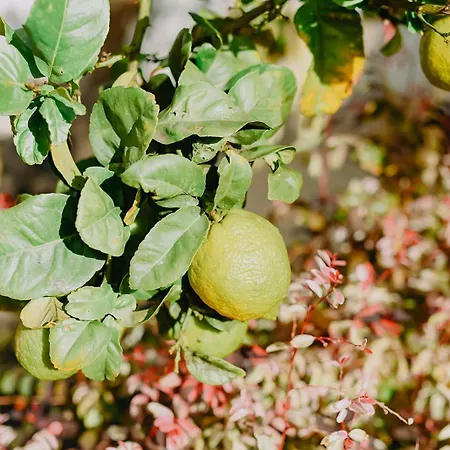 فيلة Casa Bella Vista